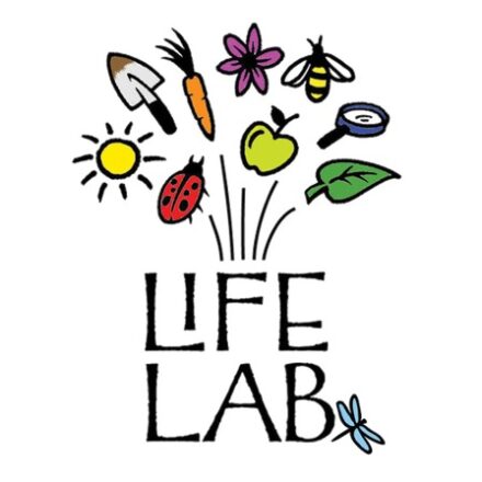 Article: Working with Interns at The Garden Classroom