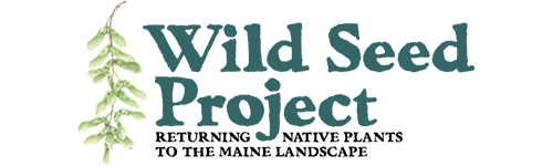 Wild Seed Project is a partner organization with MSGN