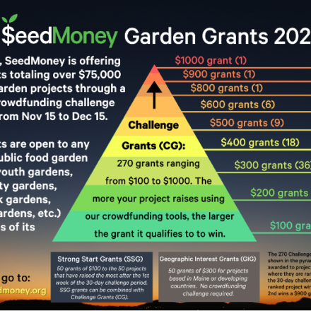 Seed Money Garden Grants